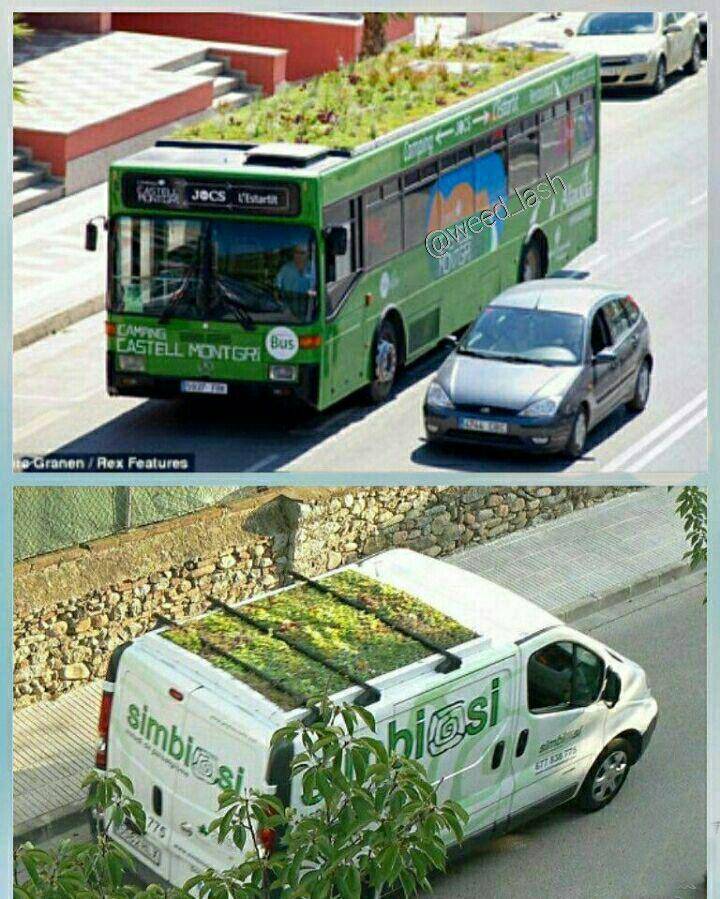 گیاه روی سقف اتوبوس راه کاهش آلودگی پوشش گیاهی اقدام جالب در اسپانیا آلودگی هوا 